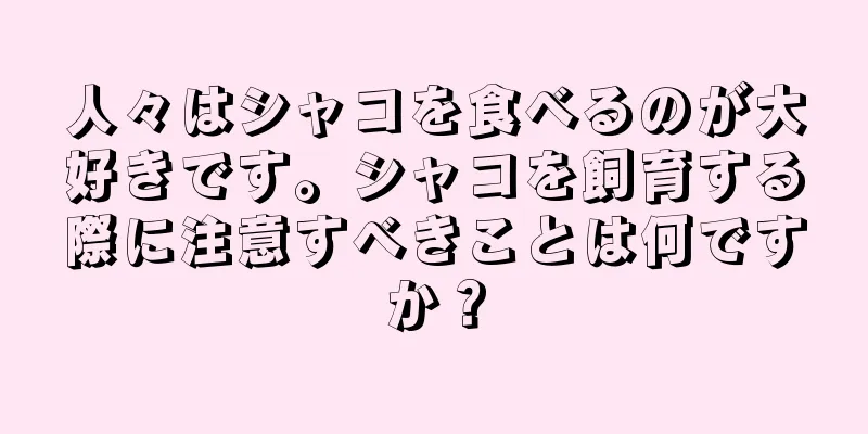 人々はシャコを食べるのが大好きです。シャコを飼育する際に注意すべきことは何ですか？