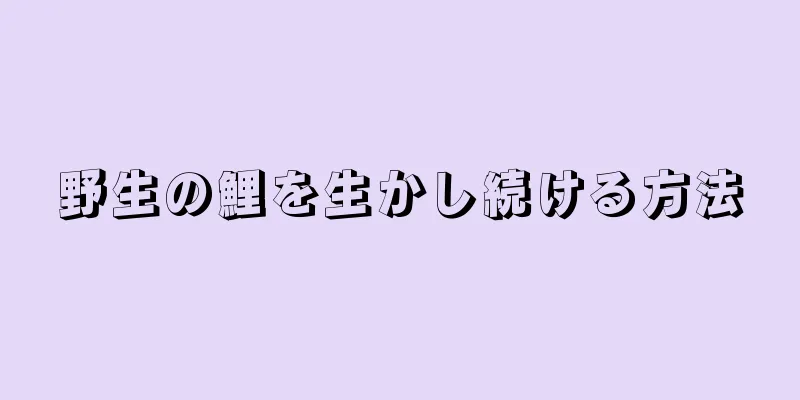野生の鯉を生かし続ける方法