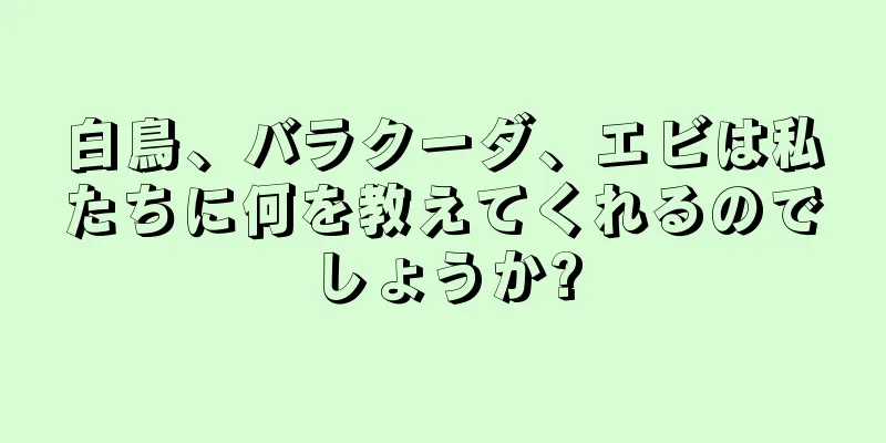 白鳥、バラクーダ、エビは私たちに何を教えてくれるのでしょうか?