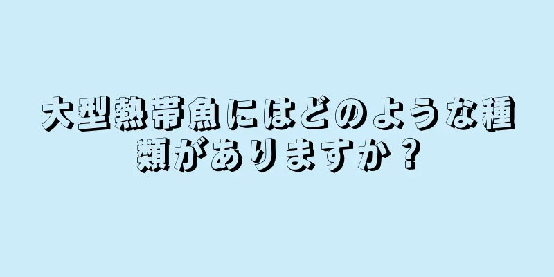 大型熱帯魚にはどのような種類がありますか？