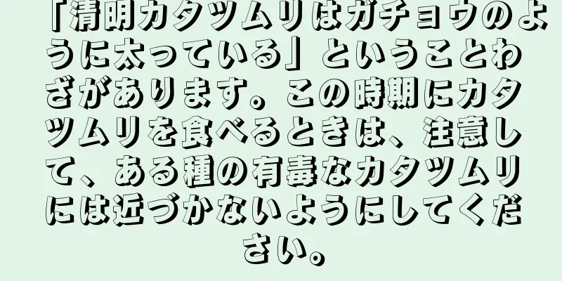 「清明カタツムリはガチョウのように太っている」ということわざがあります。この時期にカタツムリを食べるときは、注意して、ある種の有毒なカタツムリには近づかないようにしてください。