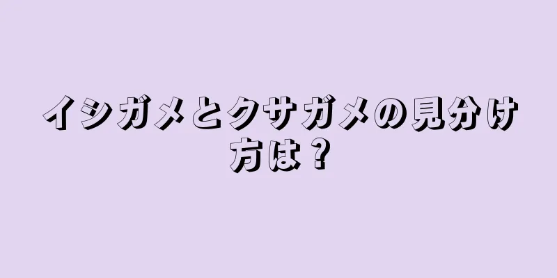 イシガメとクサガメの見分け方は？
