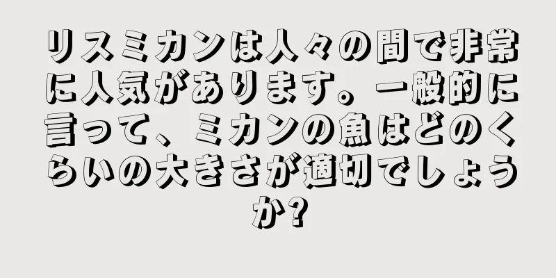 リスミカンは人々の間で非常に人気があります。一般的に言って、ミカンの魚はどのくらいの大きさが適切でしょうか?