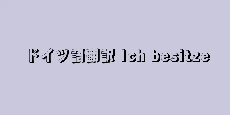 ドイツ語翻訳 Ich besitze