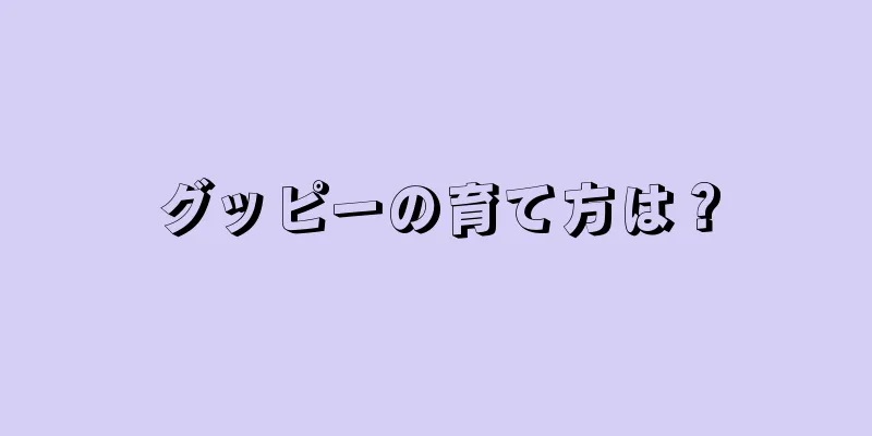 グッピーの育て方は？