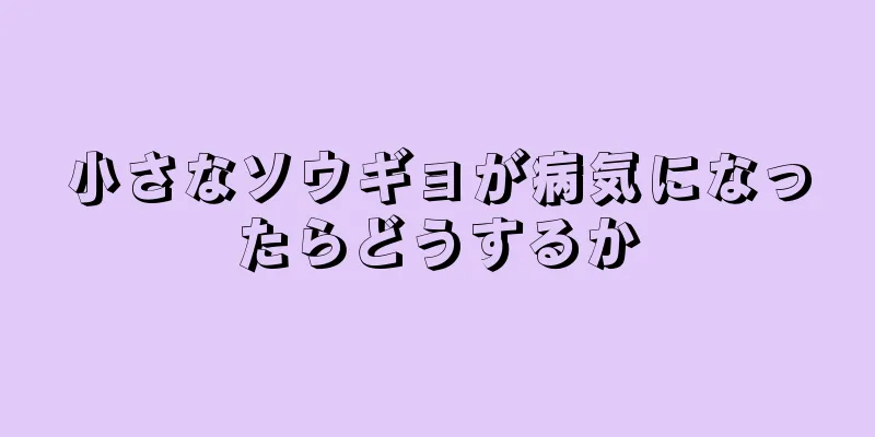 小さなソウギョが病気になったらどうするか