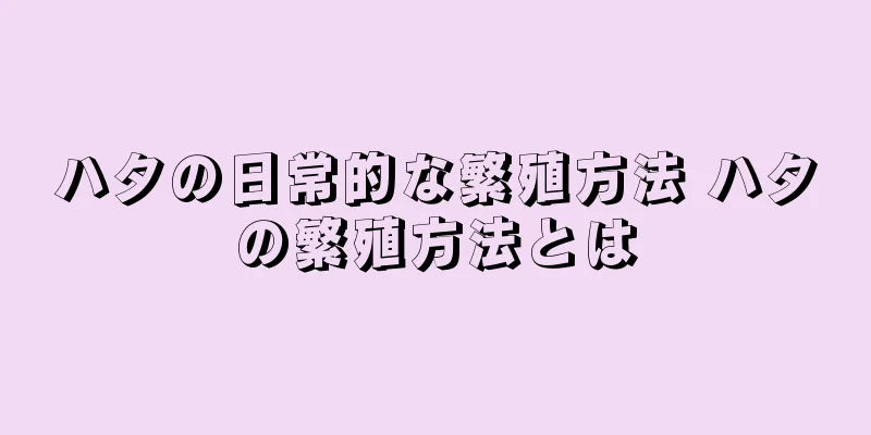 ハタの日常的な繁殖方法 ハタの繁殖方法とは