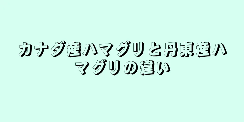 カナダ産ハマグリと丹東産ハマグリの違い