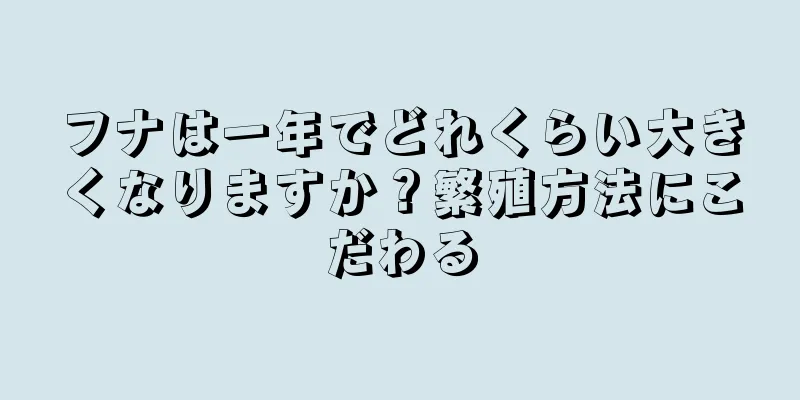 フナは一年でどれくらい大きくなりますか？繁殖方法にこだわる