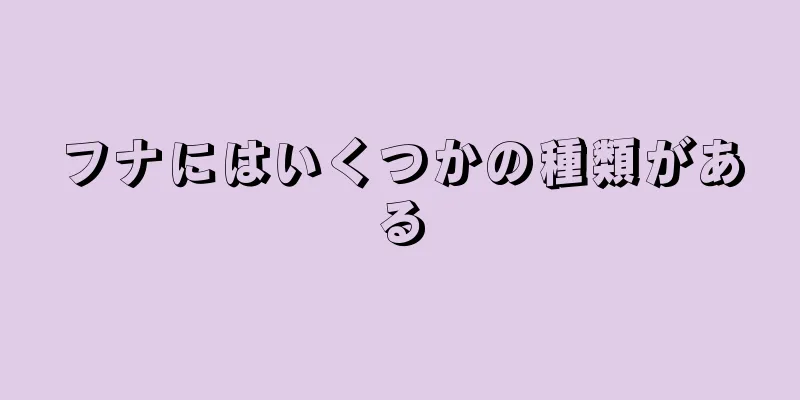 フナにはいくつかの種類がある
