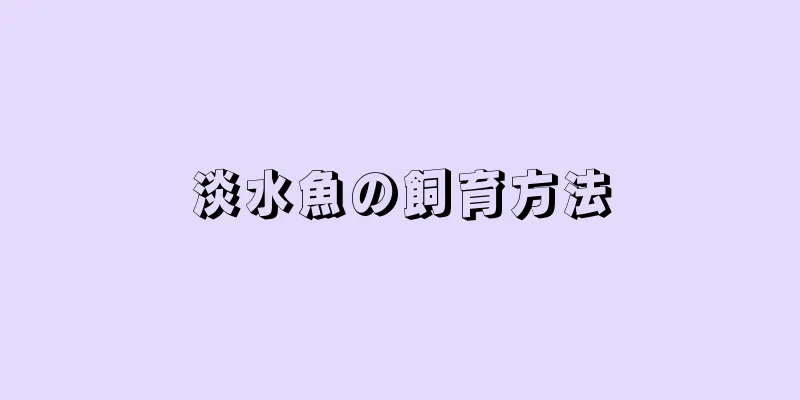 淡水魚の飼育方法
