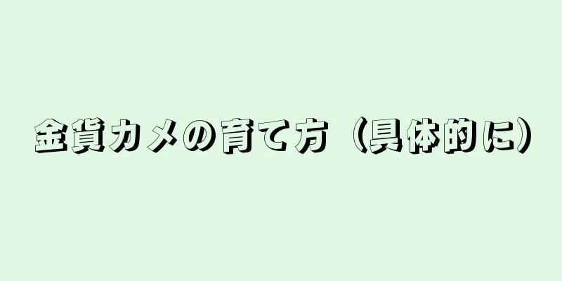 金貨カメの育て方（具体的に）
