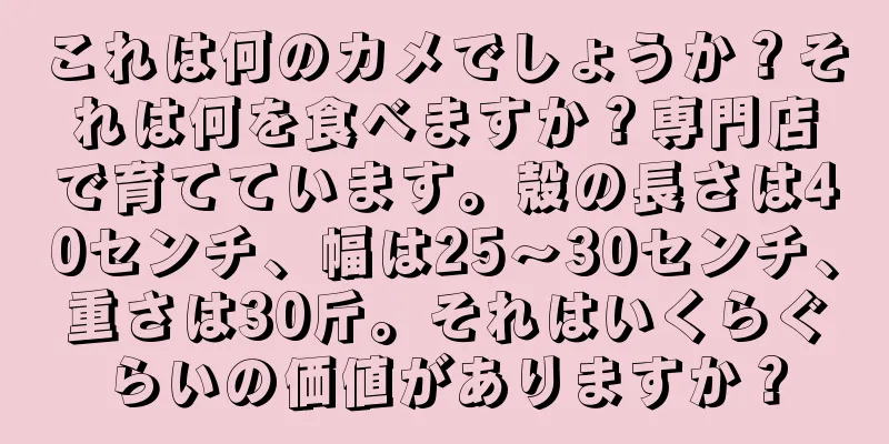 これは何のカメでしょうか？それは何を食べますか？専門店で育てています。殻の長さは40センチ、幅は25～30センチ、重さは30斤。それはいくらぐらいの価値がありますか？