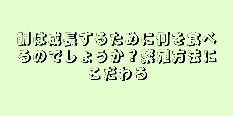 鯛は成長するために何を食べるのでしょうか？繁殖方法にこだわる