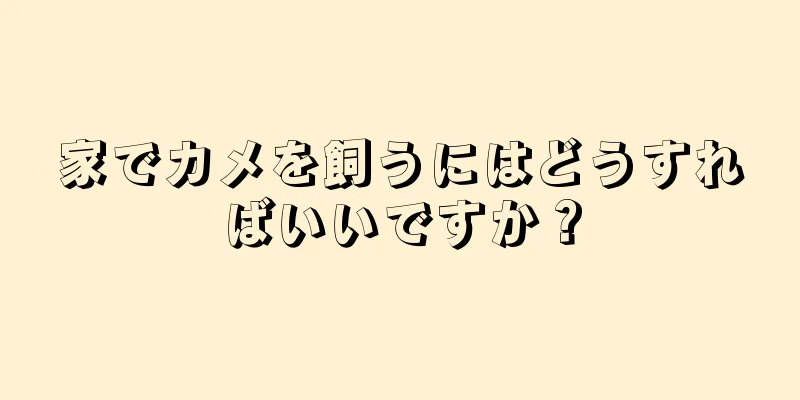 家でカメを飼うにはどうすればいいですか？