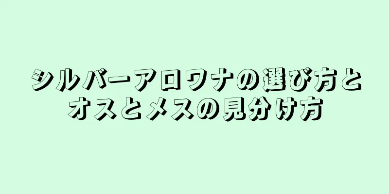 シルバーアロワナの選び方とオスとメスの見分け方