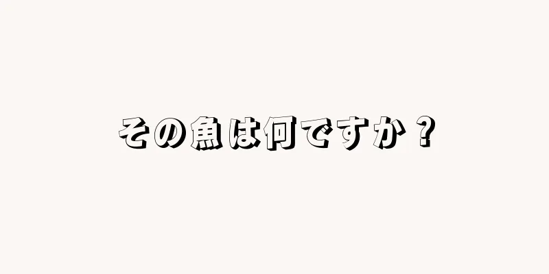 その魚は何ですか？