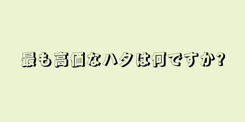 最も高価なハタは何ですか?