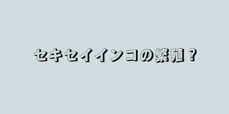 セキセイインコの繁殖？
