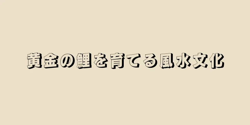 黄金の鯉を育てる風水文化