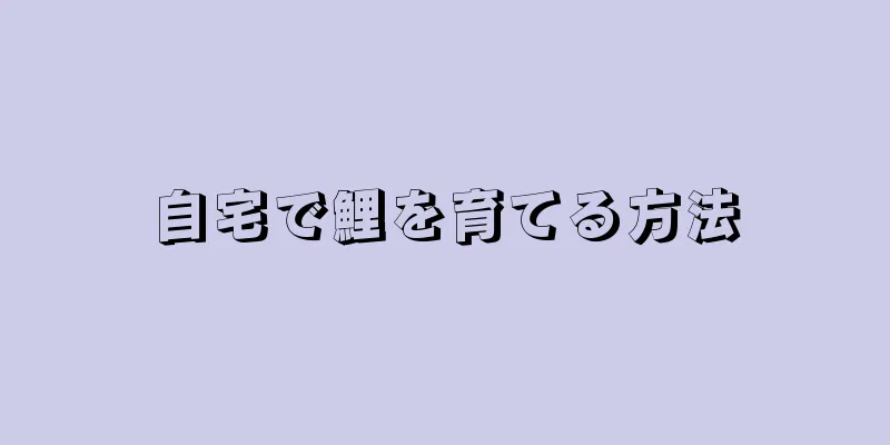 自宅で鯉を育てる方法