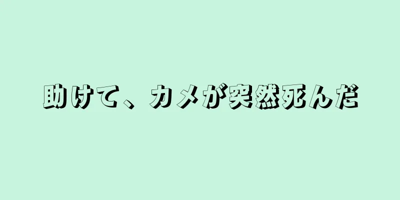 助けて、カメが突然死んだ