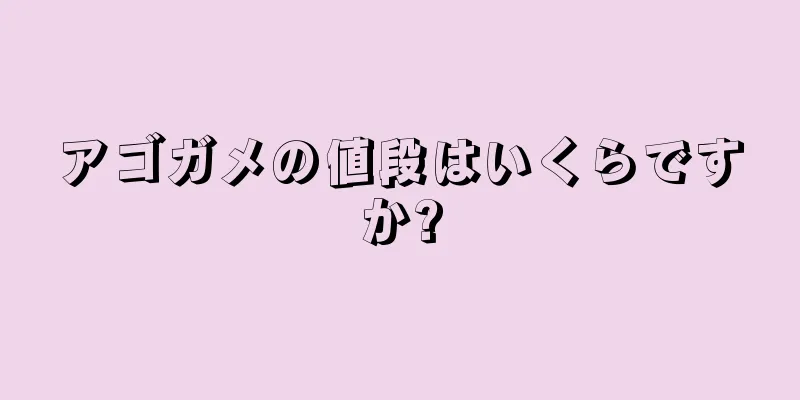 アゴガメの値段はいくらですか?
