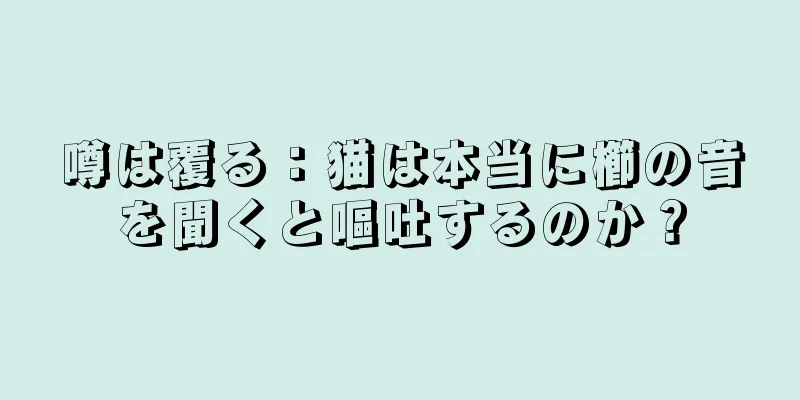 噂は覆る：猫は本当に櫛の音を聞くと嘔吐するのか？