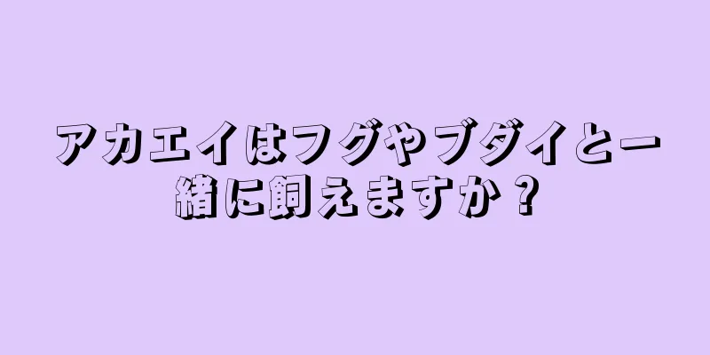 アカエイはフグやブダイと一緒に飼えますか？