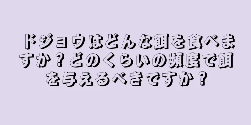 ドジョウはどんな餌を食べますか？どのくらいの頻度で餌を与えるべきですか？