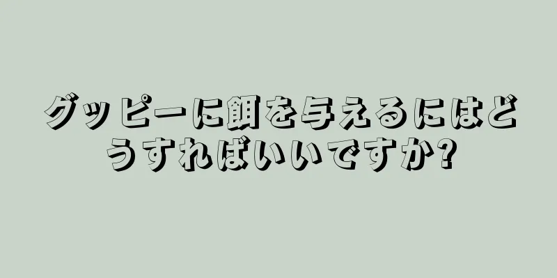 グッピーに餌を与えるにはどうすればいいですか?