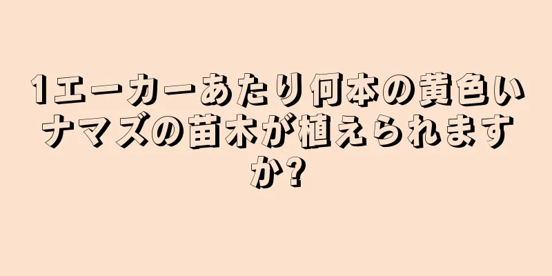 1エーカーあたり何本の黄色いナマズの苗木が植えられますか?