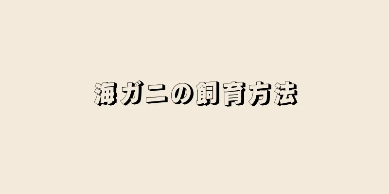 海ガニの飼育方法