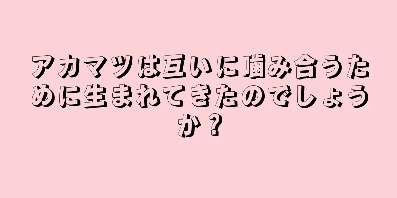 アカマツは互いに噛み合うために生まれてきたのでしょうか？