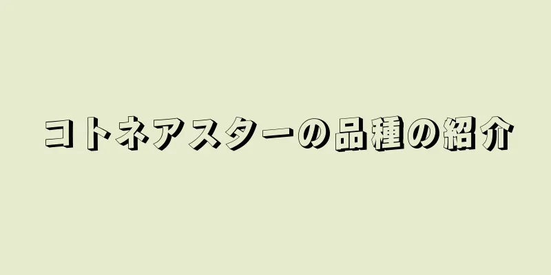 コトネアスターの品種の紹介