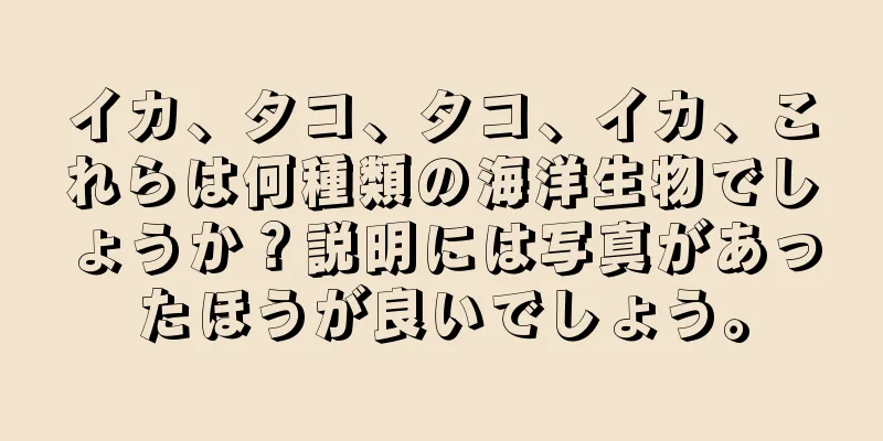 イカ、タコ、タコ、イカ、これらは何種類の海洋生物でしょうか？説明には写真があったほうが良いでしょう。
