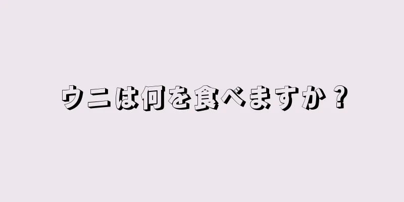 ウニは何を食べますか？