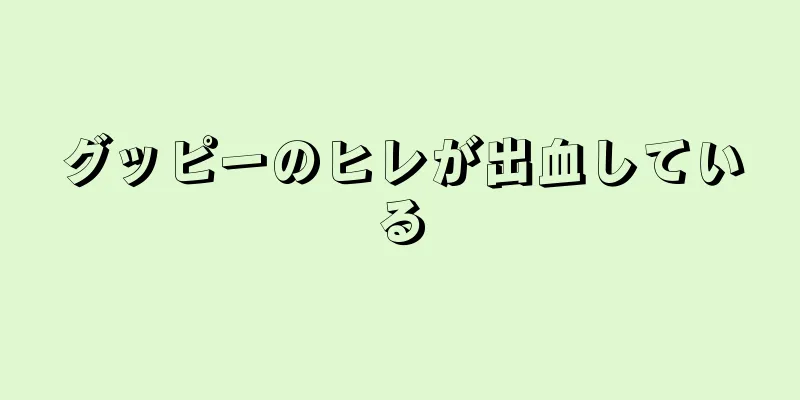 グッピーのヒレが出血している