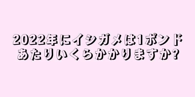 2022年にイシガメは1ポンドあたりいくらかかりますか?