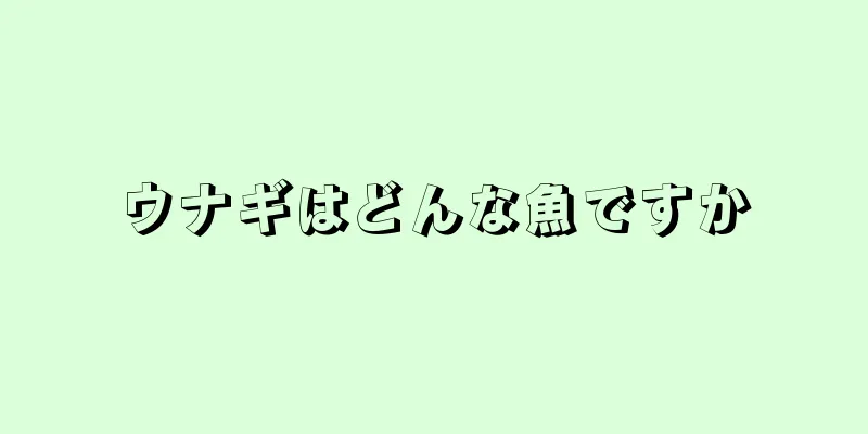 ウナギはどんな魚ですか