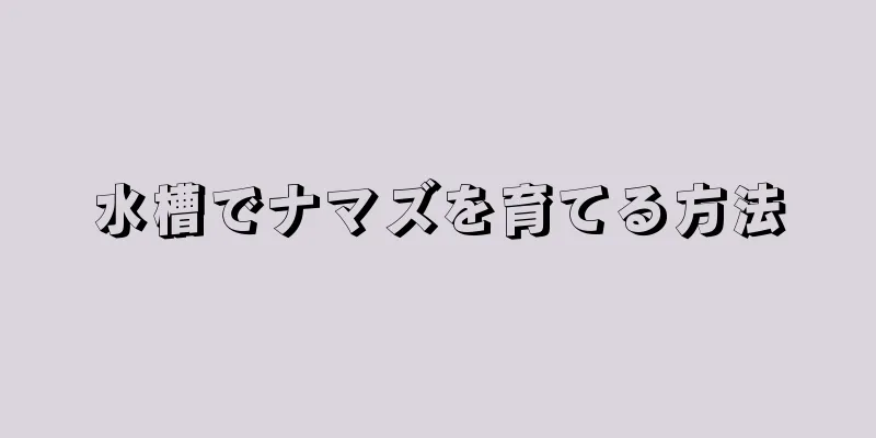 水槽でナマズを育てる方法