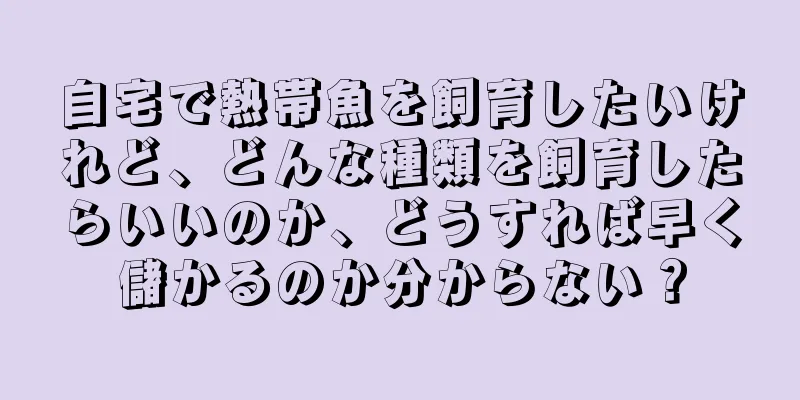 自宅で熱帯魚を飼育したいけれど、どんな種類を飼育したらいいのか、どうすれば早く儲かるのか分からない？