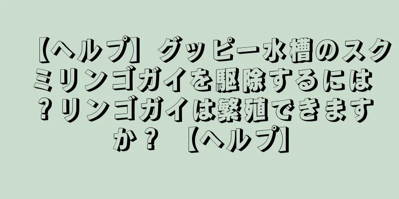 【ヘルプ】グッピー水槽のスクミリンゴガイを駆除するには？リンゴガイは繁殖できますか？ 【ヘルプ】