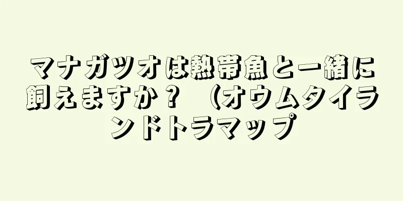 マナガツオは熱帯魚と一緒に飼えますか？ （オウムタイランドトラマップ