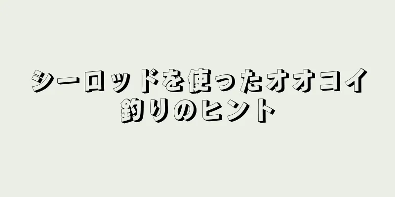 シーロッドを使ったオオコイ釣りのヒント