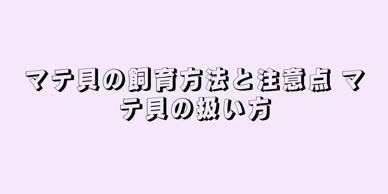 マテ貝の飼育方法と注意点 マテ貝の扱い方
