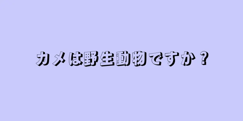 カメは野生動物ですか？