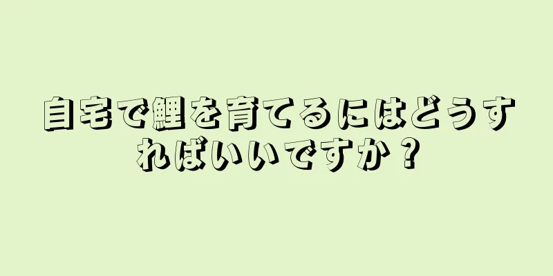 自宅で鯉を育てるにはどうすればいいですか？