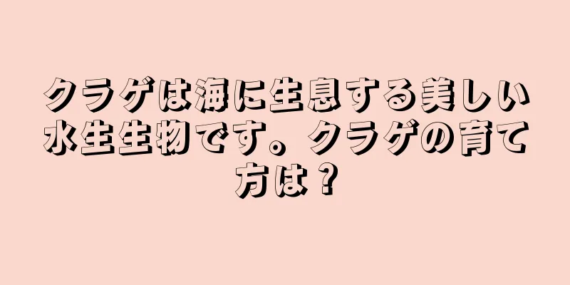 クラゲは海に生息する美しい水生生物です。クラゲの育て方は？
