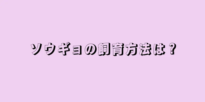 ソウギョの飼育方法は？